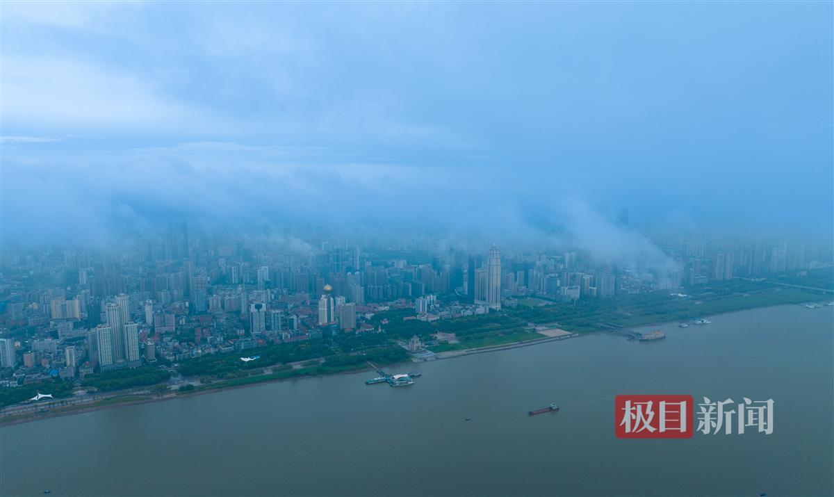 鱼丸游戏电脑版